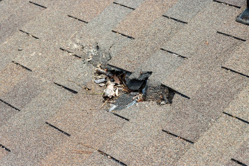 Shingle Roof Replacement in Boston, MA